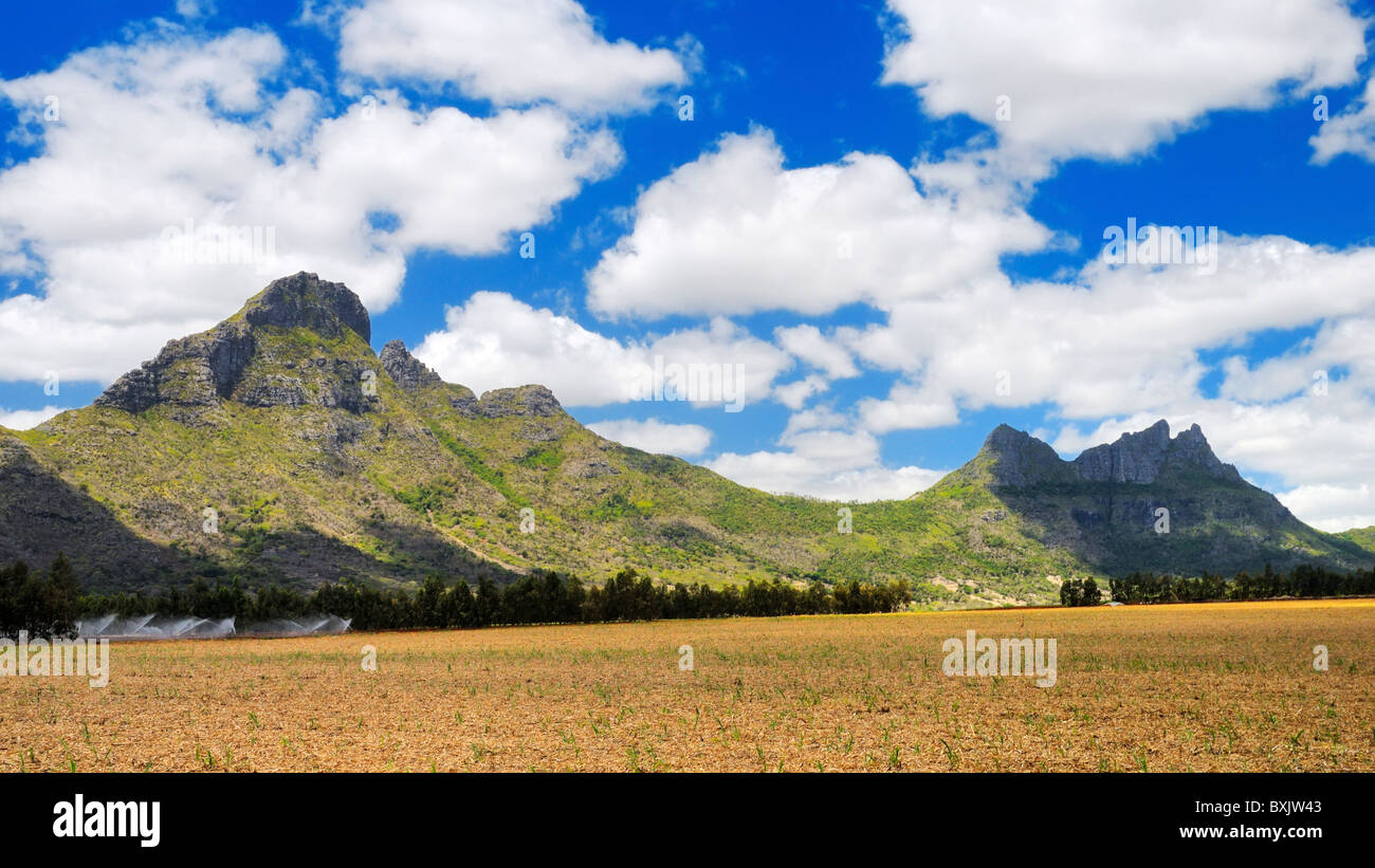 Reittiere Montagne du Rempart (links) und Trois Mamelles (rechts), Tamarin Estate (Trois Mamelles), Black River, Mauritius. Stockfoto