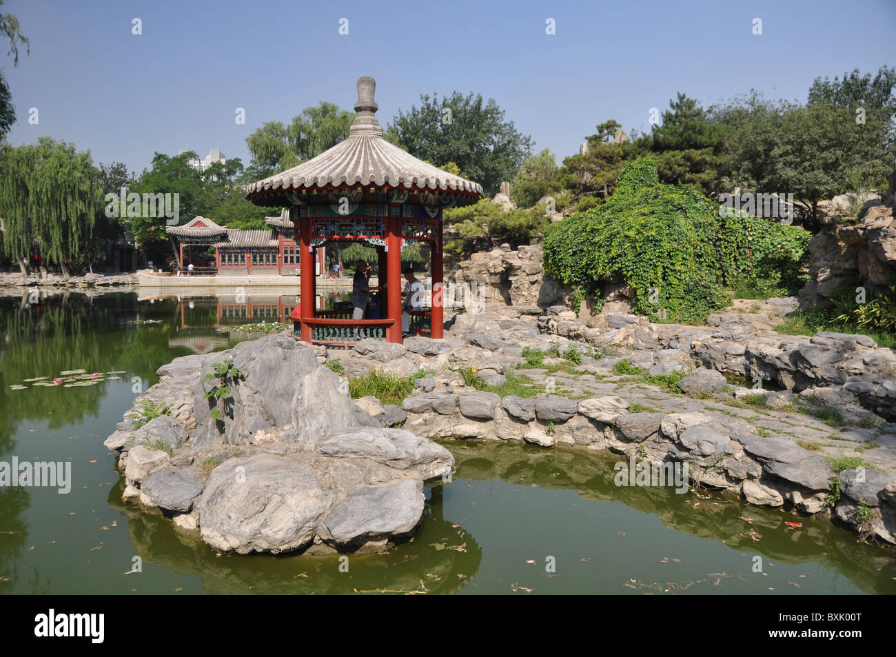 Teich baum Fotos und Bildmaterial in hoher Auflösung Alamy