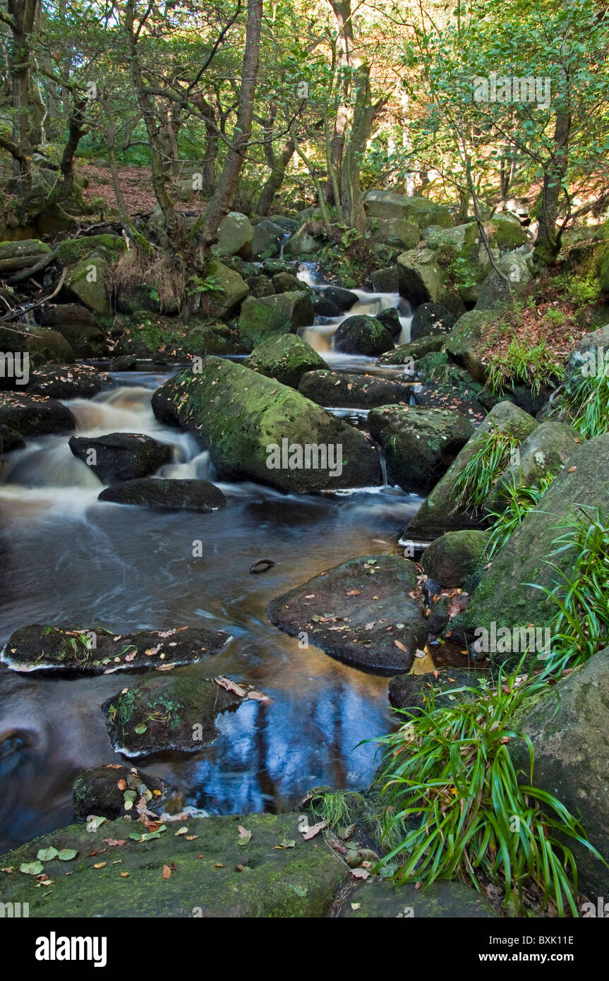 Burbage Brook in Padley Schlucht, Peak District Stockfoto