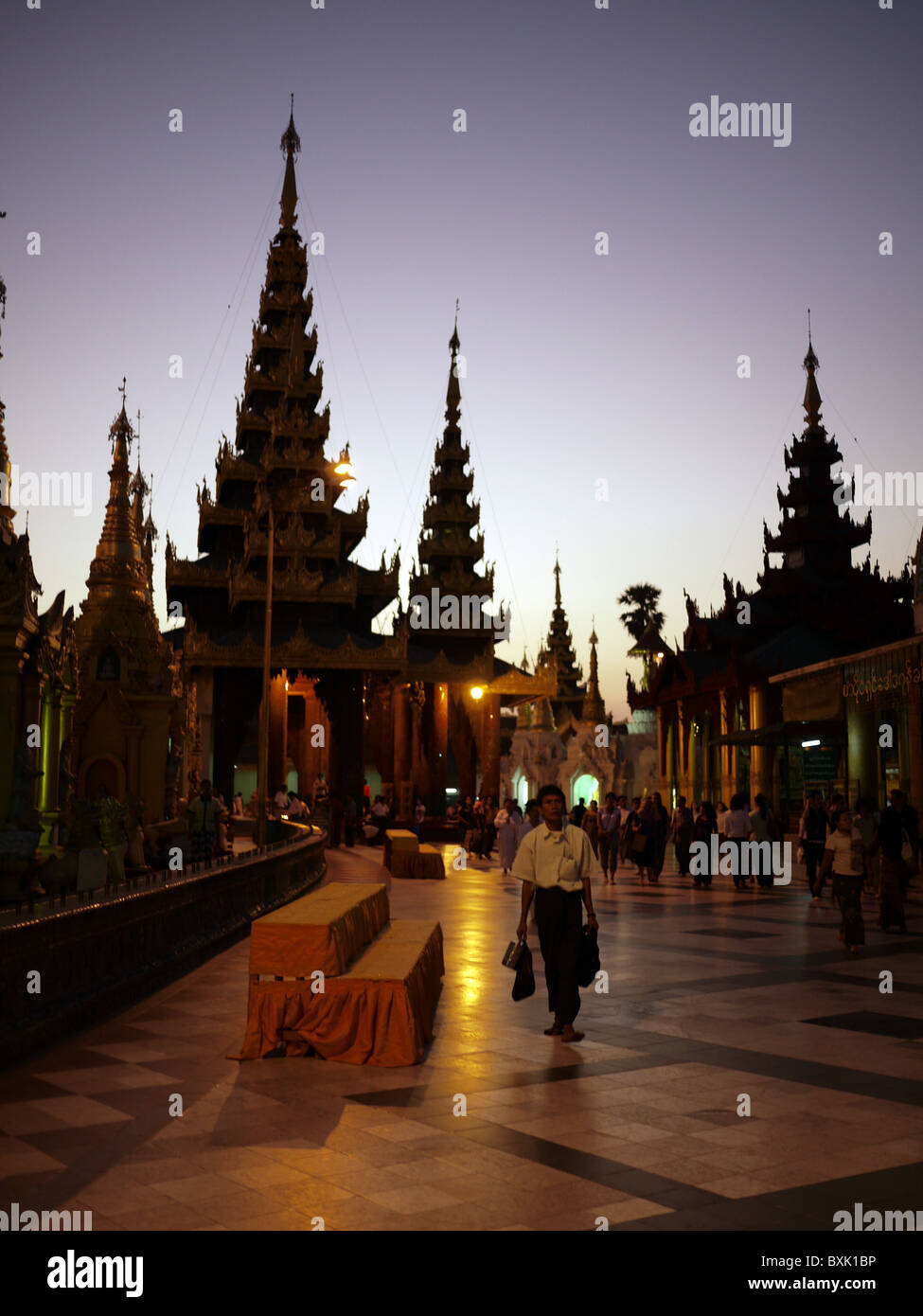 Shwedagon-Pagode bei Sonnenuntergang Rangun, Yangon, Birma, Myanmar Stockfoto