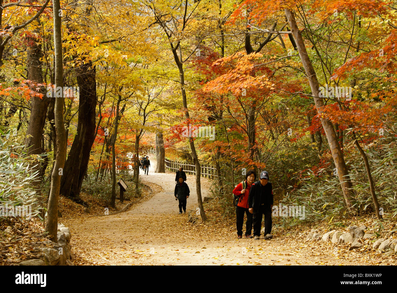 Asien Asien Südkorea koreanische paar Mann Frau Leute Mann Frau zu Fuß Wandern orient orientalische Herbst Herbst Laub Farbe colo Stockfoto
