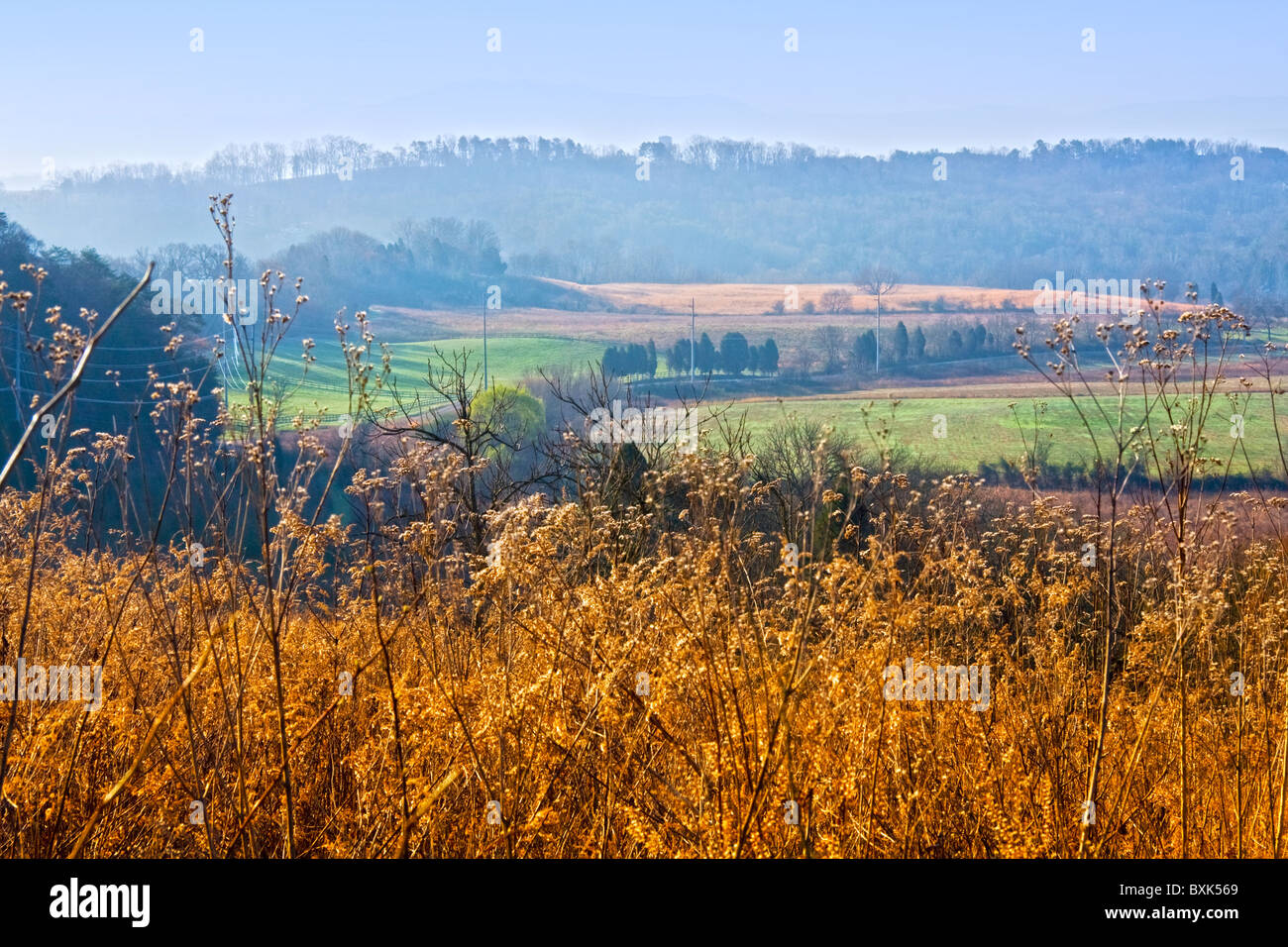 Sieben Inseln Wildlife Refuge, Knox County, Knoxville, Tennessee Stockfoto
