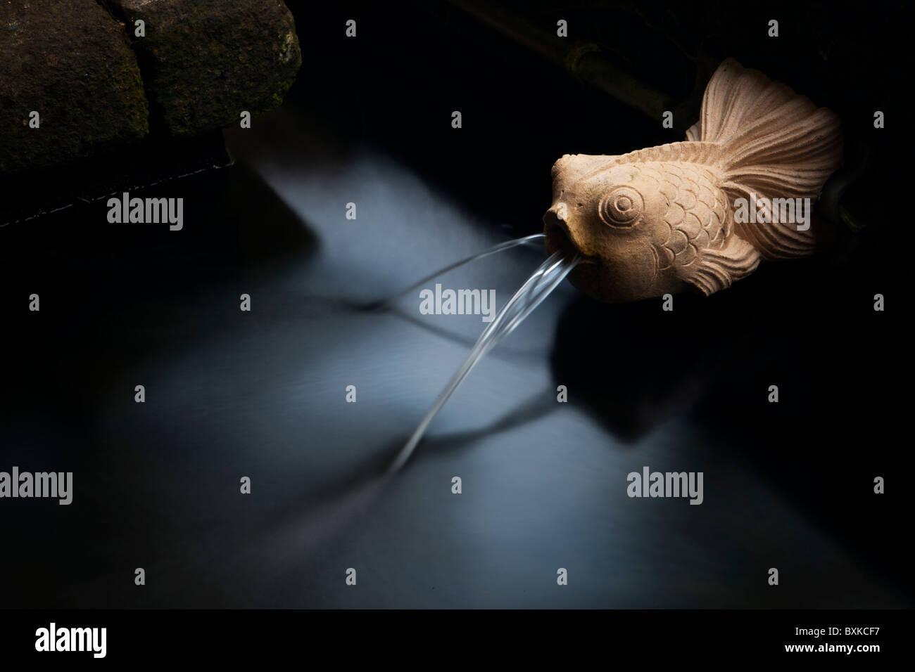 Fisch Wasser Feature, Stockfoto