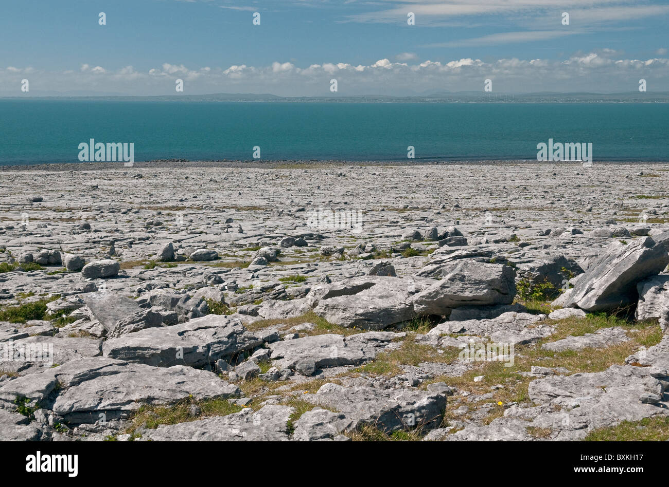 Kalkstein Pflaster, Burren, County Clare, Irland Stockfoto