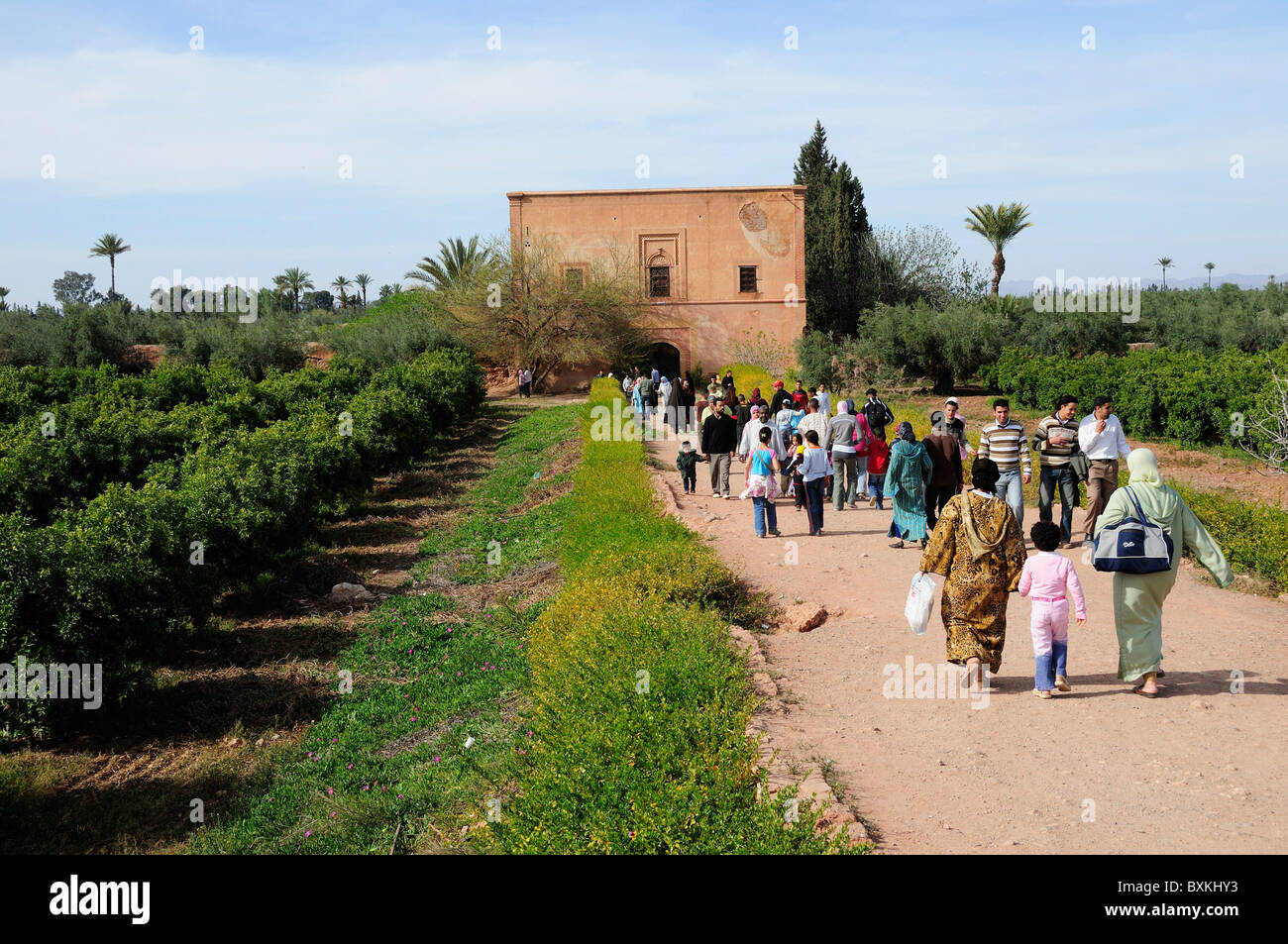 Oliven und Orangen und Minzah - Sommerpavillon am Agdal Gärten, Marrakesch Stockfoto