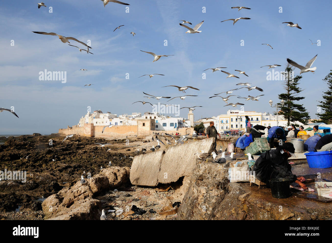 Fischer ausnehmen Fisch mit Möwen & Blick auf Skala De La Ville Stockfoto