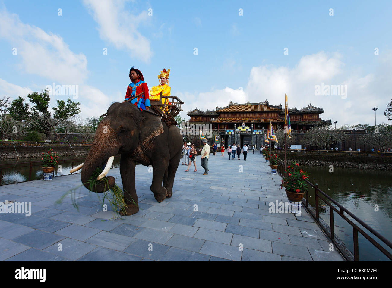 Touristisches Reiten Elefant, Zitadelle, Kaiserstadt Hue, Trung Bo, Vietnam Stockfoto