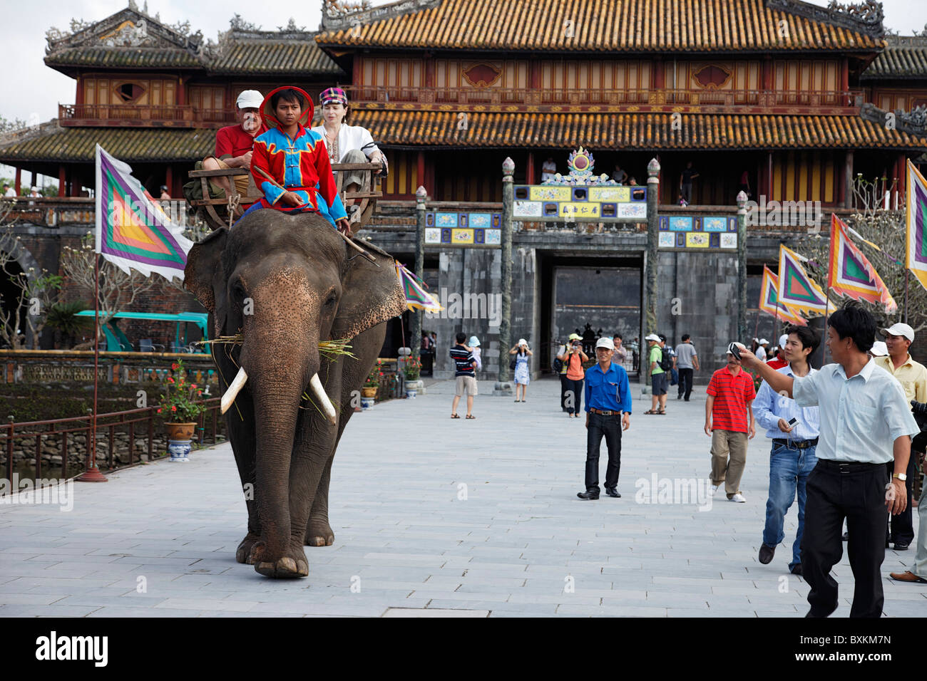 Touristisches Reiten Elefant, Zitadelle, Kaiserstadt Hue, Trung Bo, Vietnam Stockfoto
