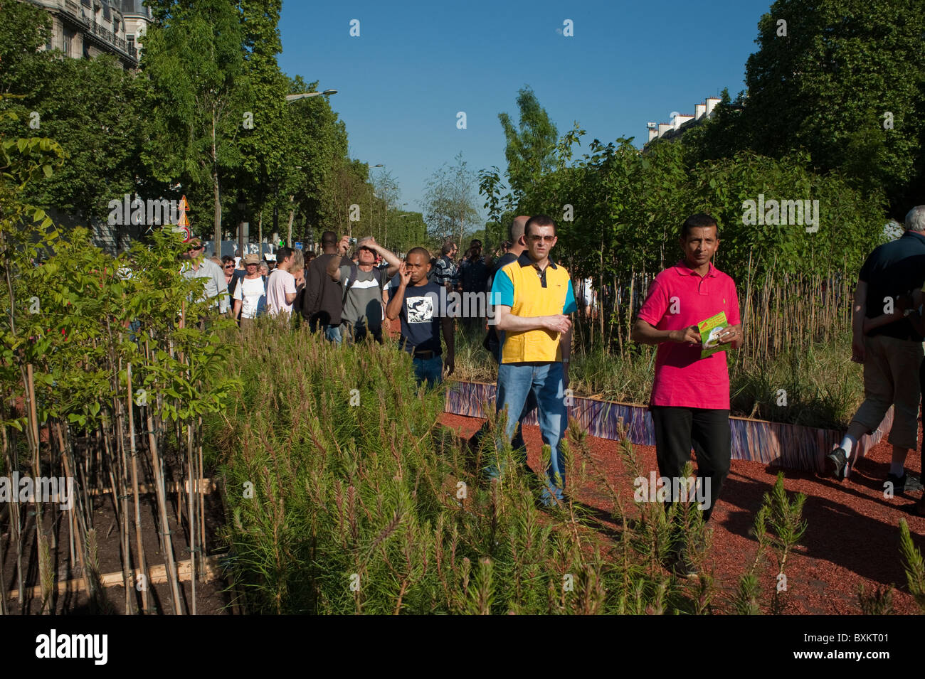 Paris, France, Tourists, Adults Visiting  Garden Festival, Champs-Ely-sees Farmer's Event Stockfoto