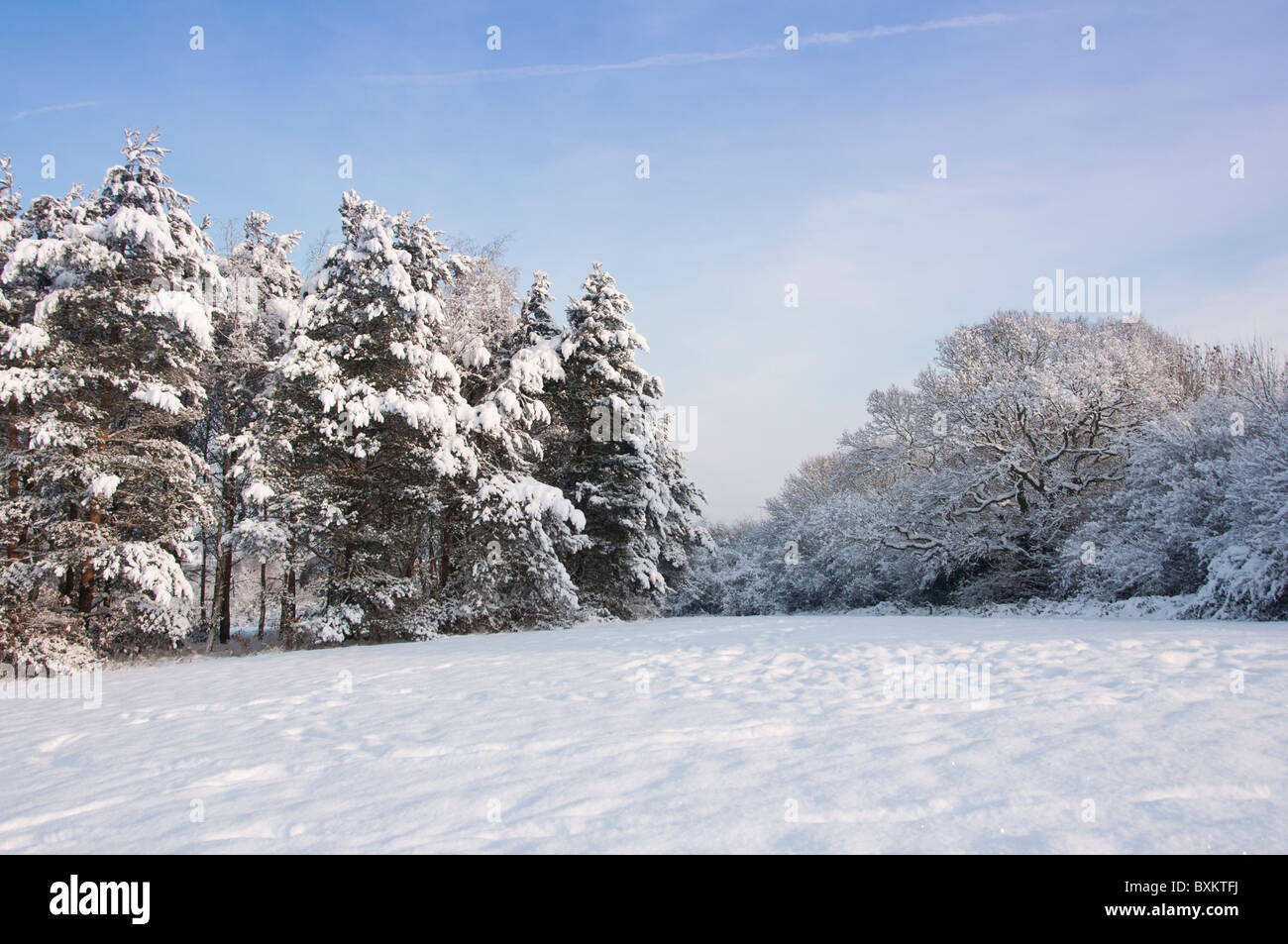 Eine malerische Winterlandschaft in Worcestershire, England Stockfoto