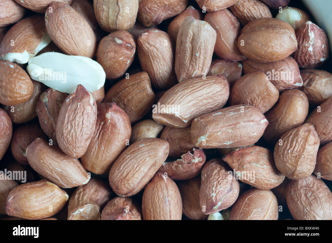 Dieses wilde Vogelfutter ist "Classic Peanuts' CJ Tierwelt ab. Stockfoto