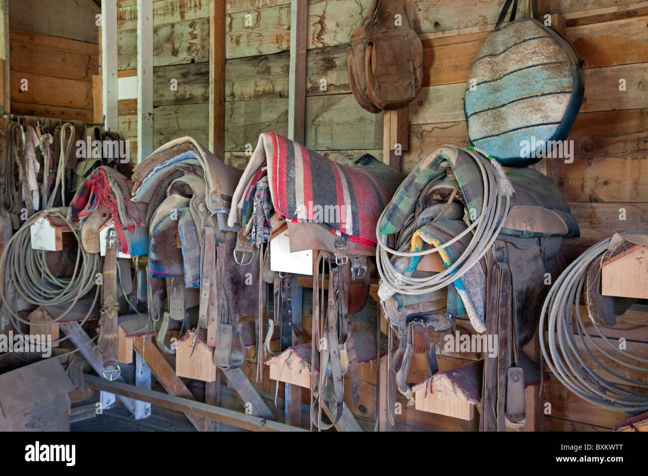 Yoder, Colorado - Sättel, decken, Seile und andere Geräte in der Scheune Tack auf den Bohart Rinderfarm. Stockfoto