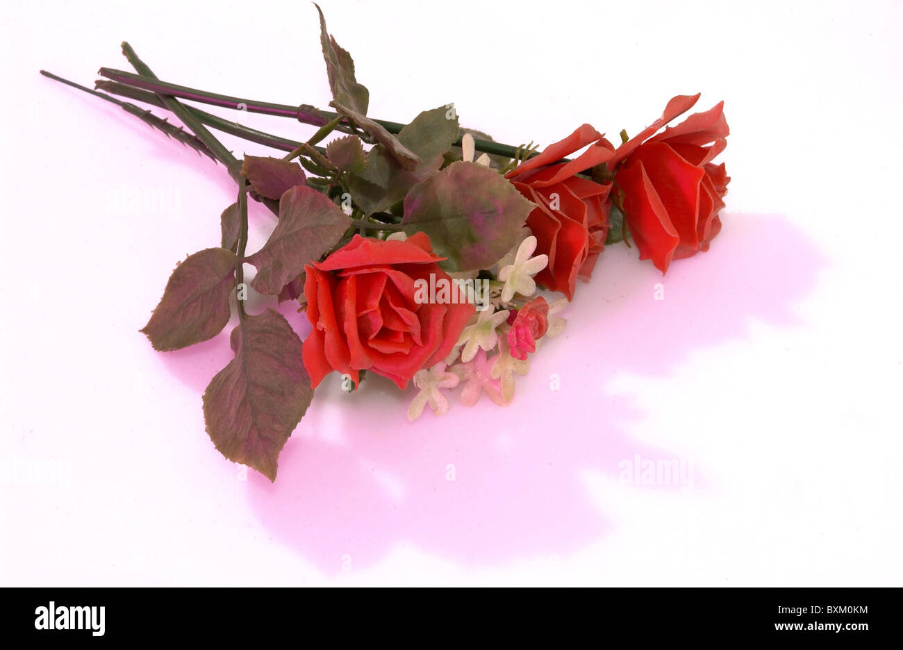 Kitsch / Souvenir, Plastikrosen, Deutschland, 50er Jahre, historisch, Rose, Blume, Blumen, Blumenstrauß, synthetisch, rot, Geschenk, herzlichen Glückwunsch, Gratulation, Ausschnitt, Ausschneiden, 50er, 50er, 20. Jahrhundert, Kopierraum, Ausschnitt, Ausschnitte, Zusatzrechte-Clearences-nicht vorhanden Stockfoto