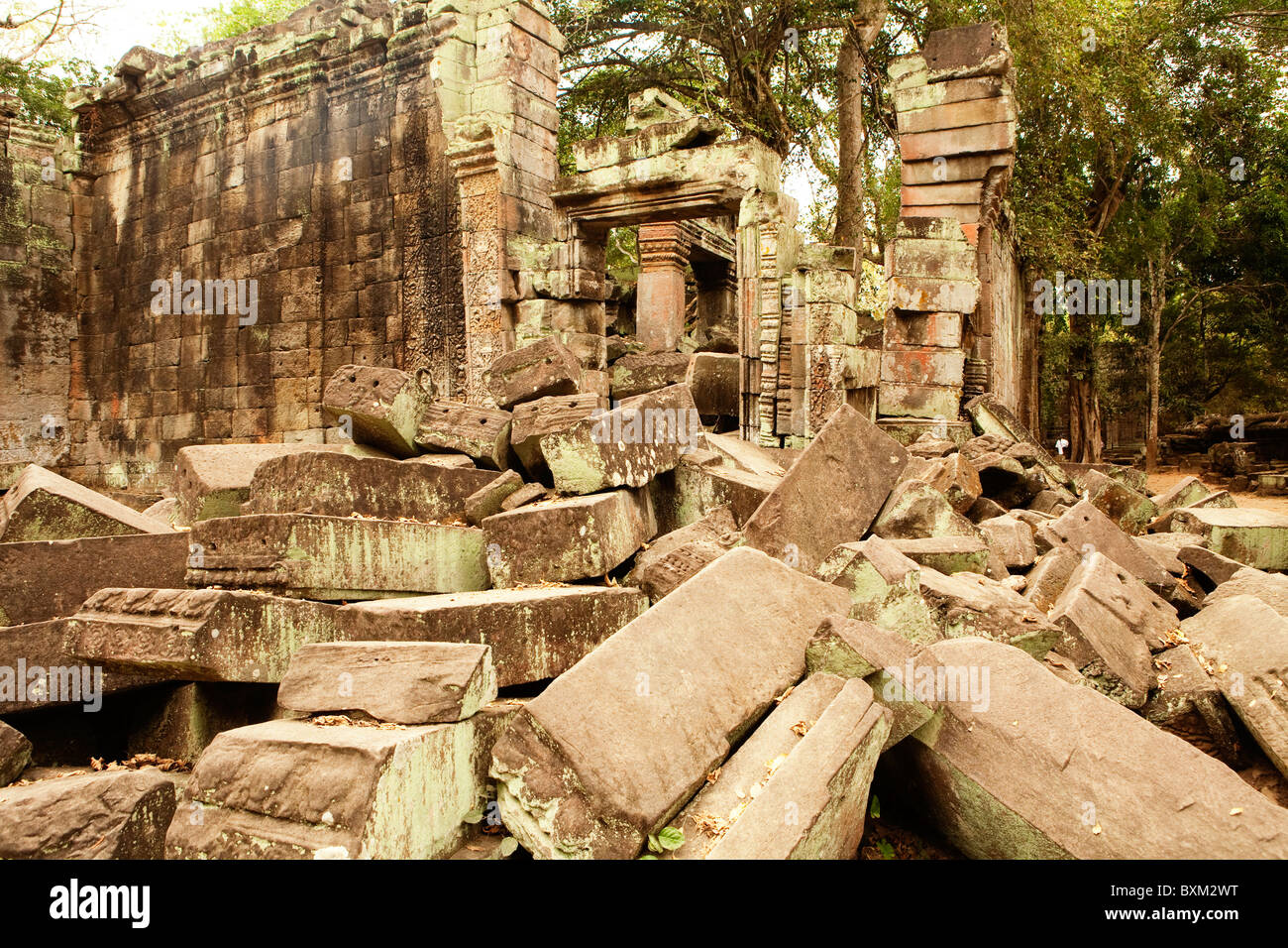 Ta Prohm Tempel blieb mehr oder weniger übrig, als es entdeckt wurde, ließ den Dschungel behaupten es, teilweise in der Angkor-Tempel-Komplex Stockfoto