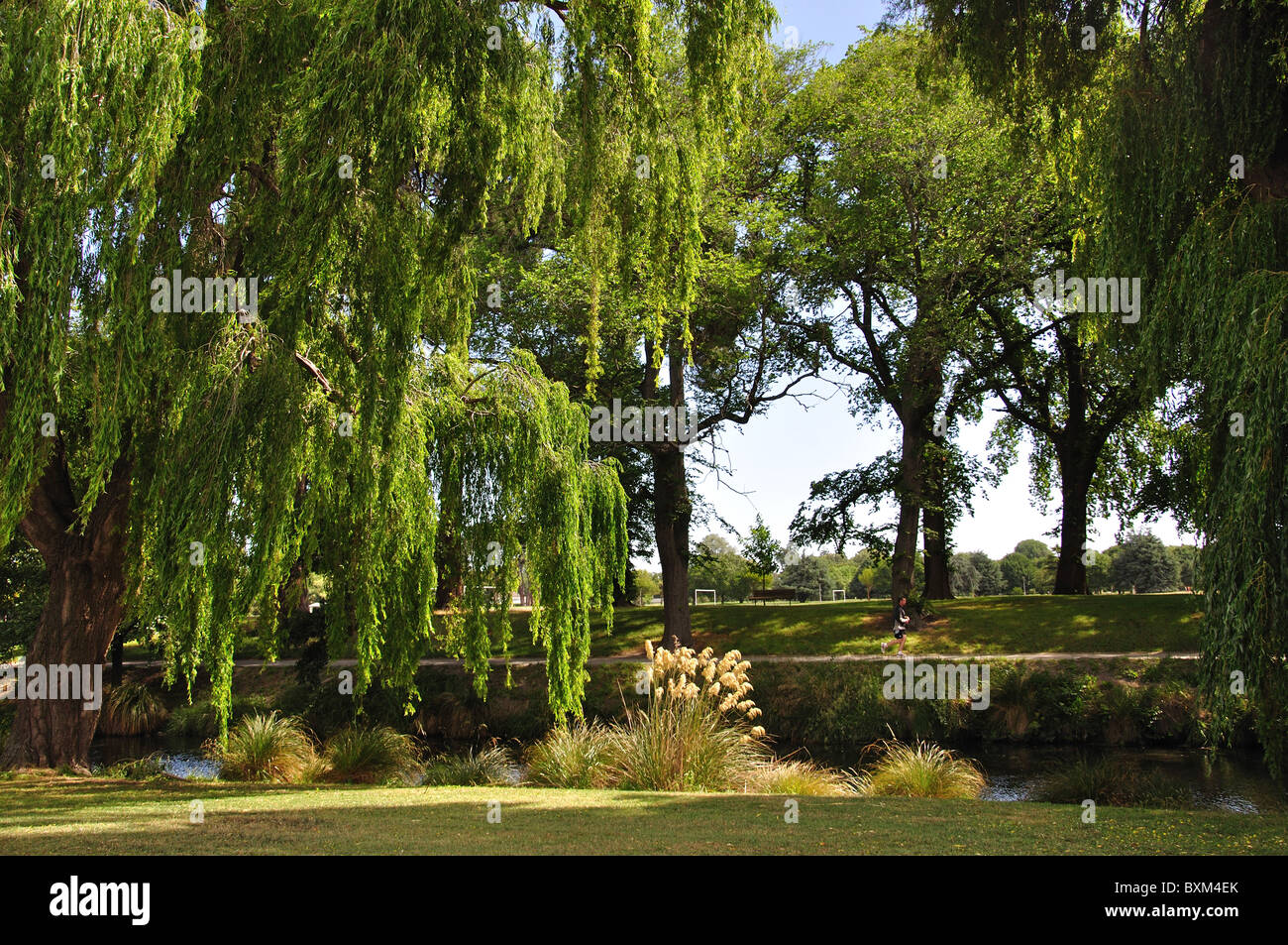 Norden Hagley Park von Parkterrasse, Christchurch, Canterbury, Südinsel, Neuseeland Stockfoto