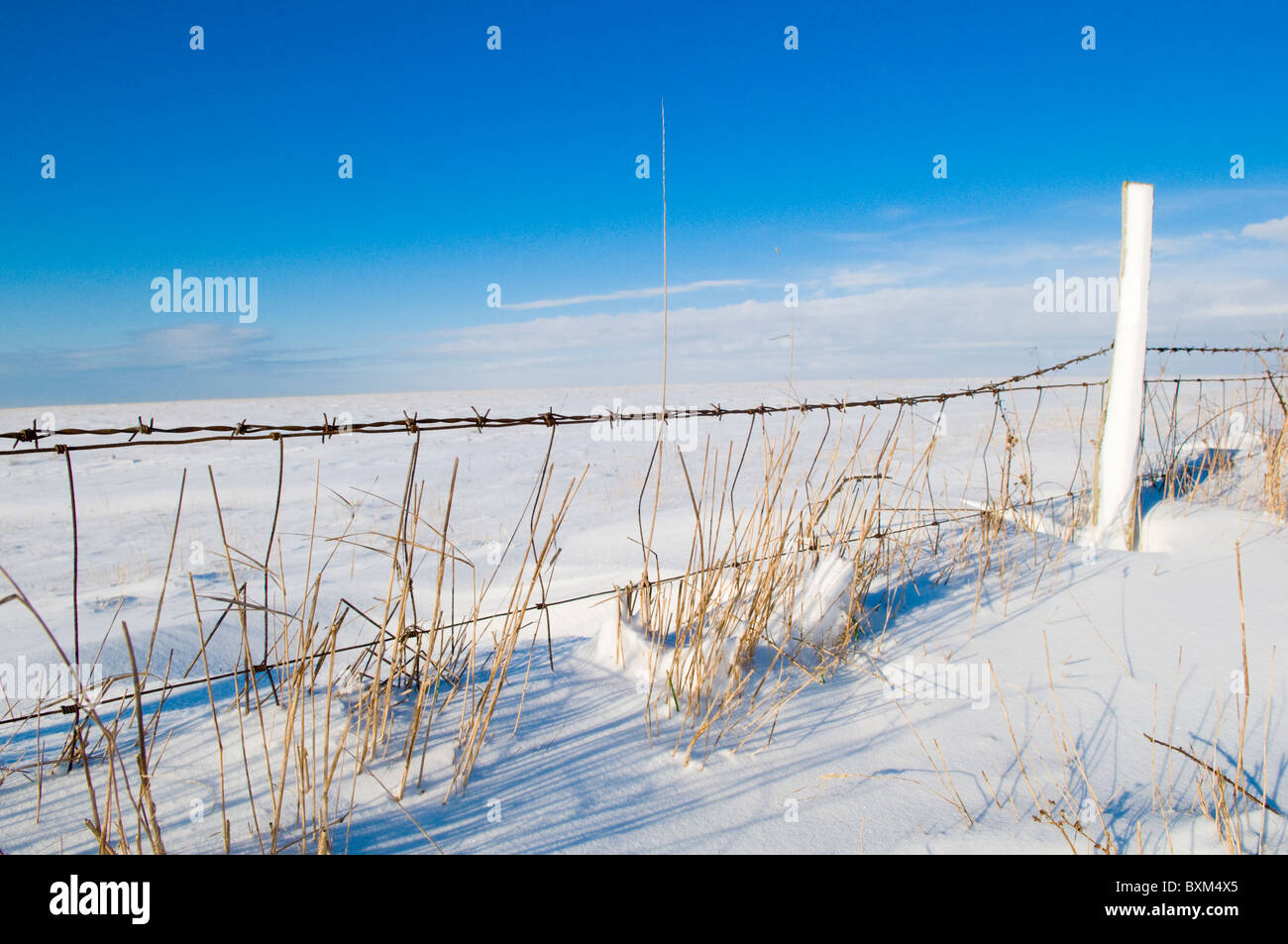 Zaun auf der South Downs im Schnee Stockfoto