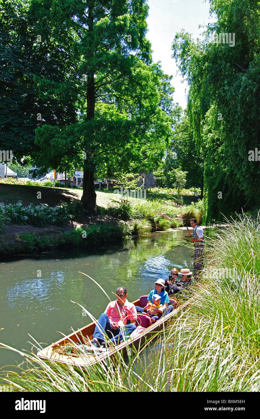 Stechkahn fahren am Fluss Avon, Christchurch, Canterbury, Südinsel, Neuseeland Stockfoto