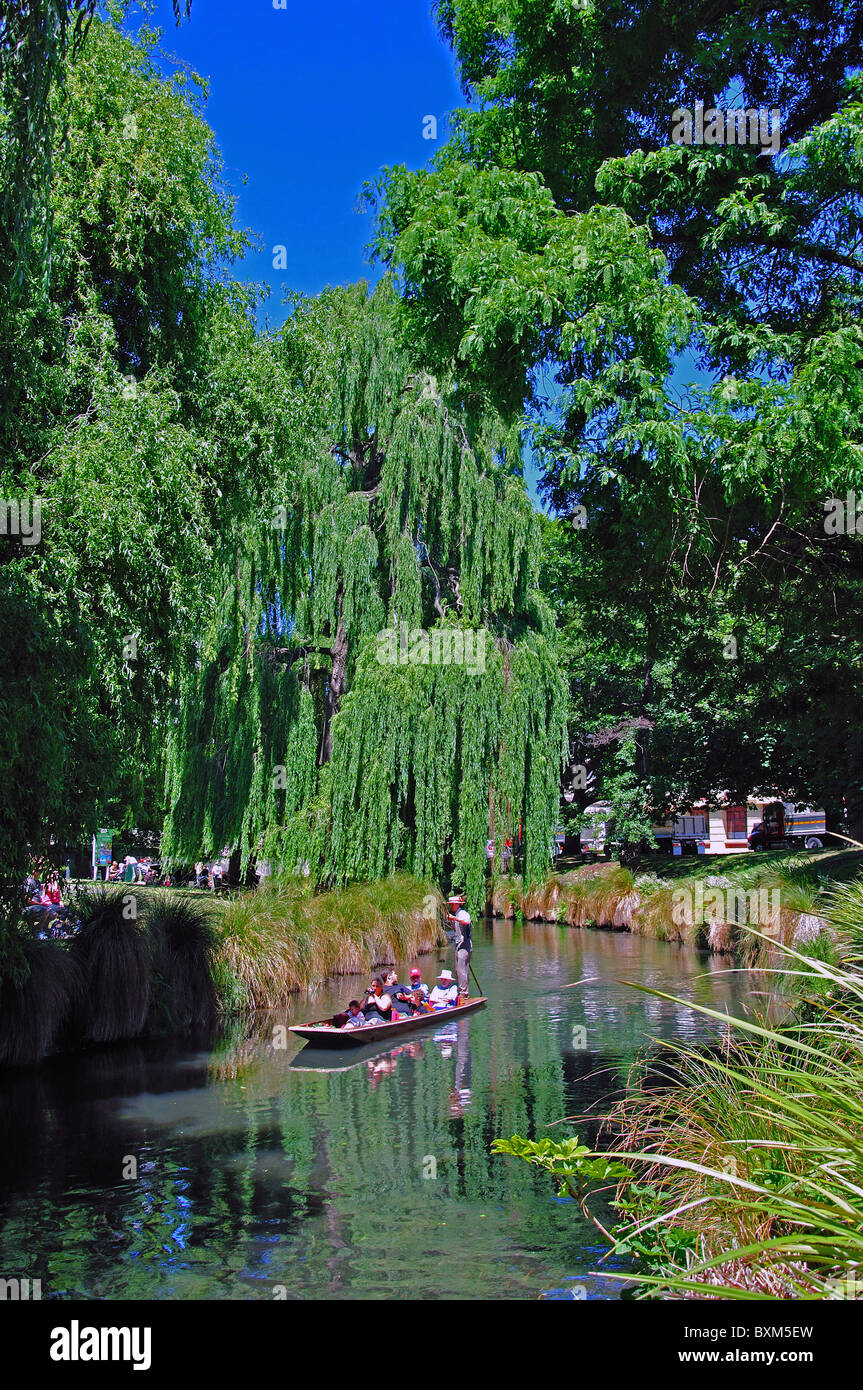 Stechkahn fahren am Fluss Avon, Christchurch, Canterbury, Südinsel, Neuseeland Stockfoto