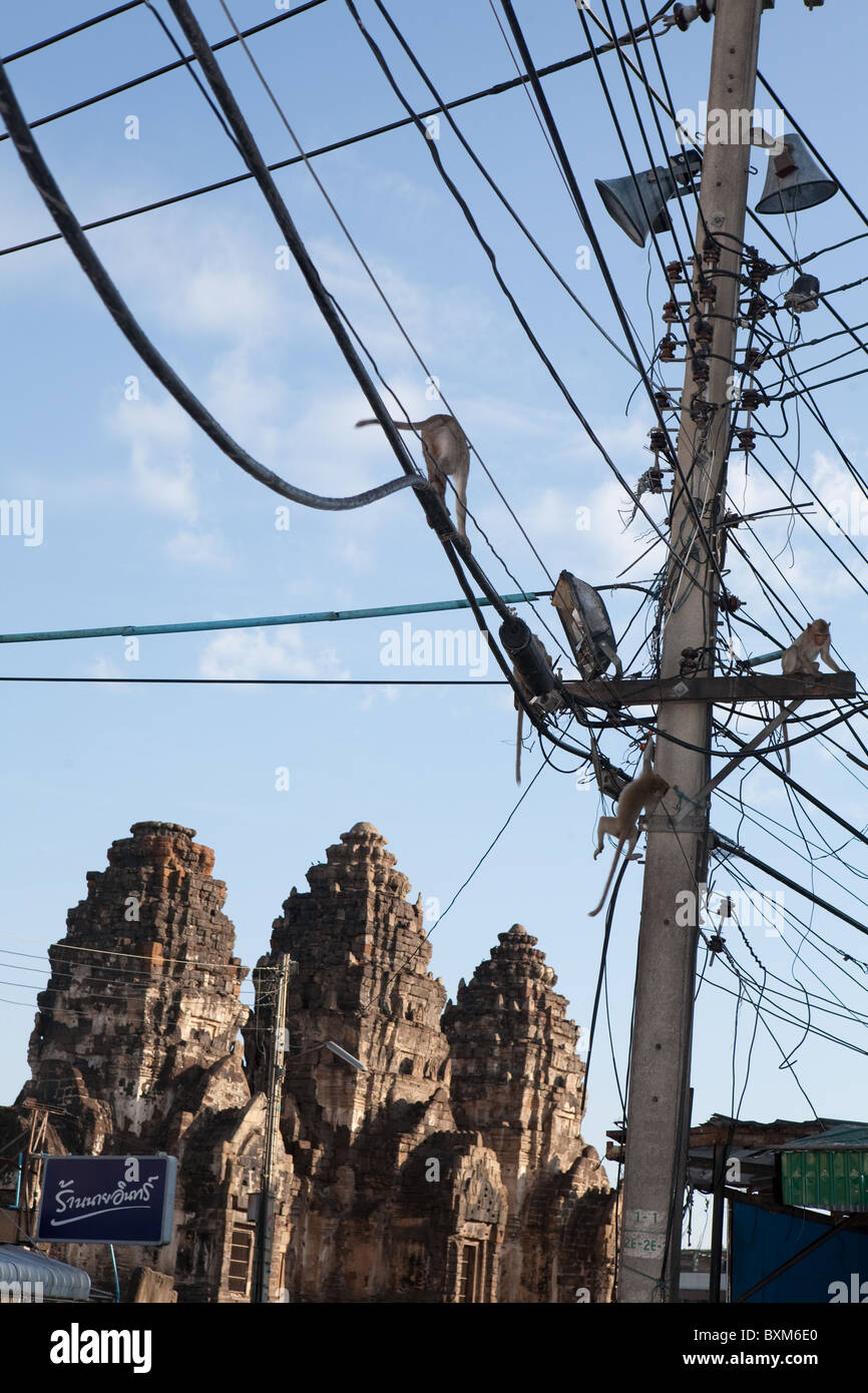 Krabbe-Essen Makaken rund um den alten Tempel des Phra Prang Sam Yot in Lopburi Stockfoto