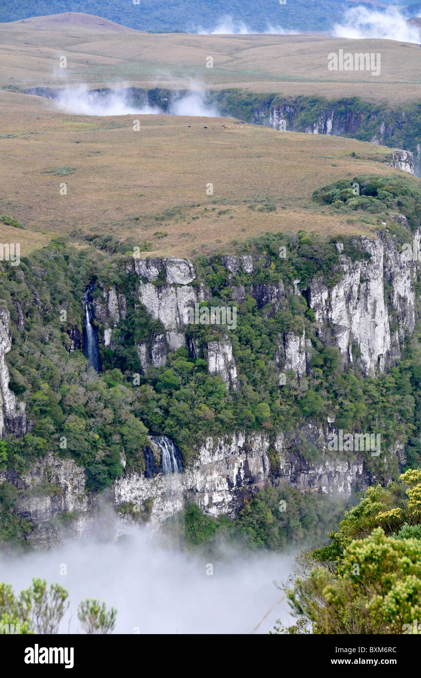 Wolken fegen in Fortaleza Canyon in den frühen Morgenstunden, Cambara do Sul, Rio Grande do Sul, Brasilien Stockfoto