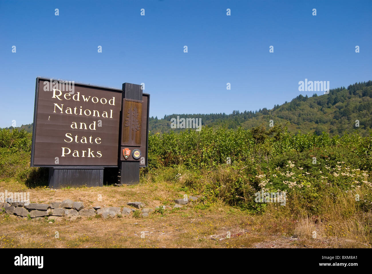 Redwood National Park am Hwy 101 in Nordkalifornien zu unterzeichnen Stockfoto