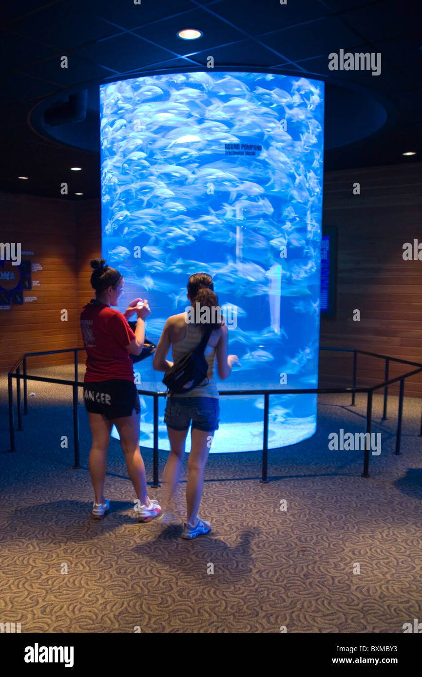 Henry Doorly Zoo Scott Aquarium in Omaha, Nebraska Stockfotografie