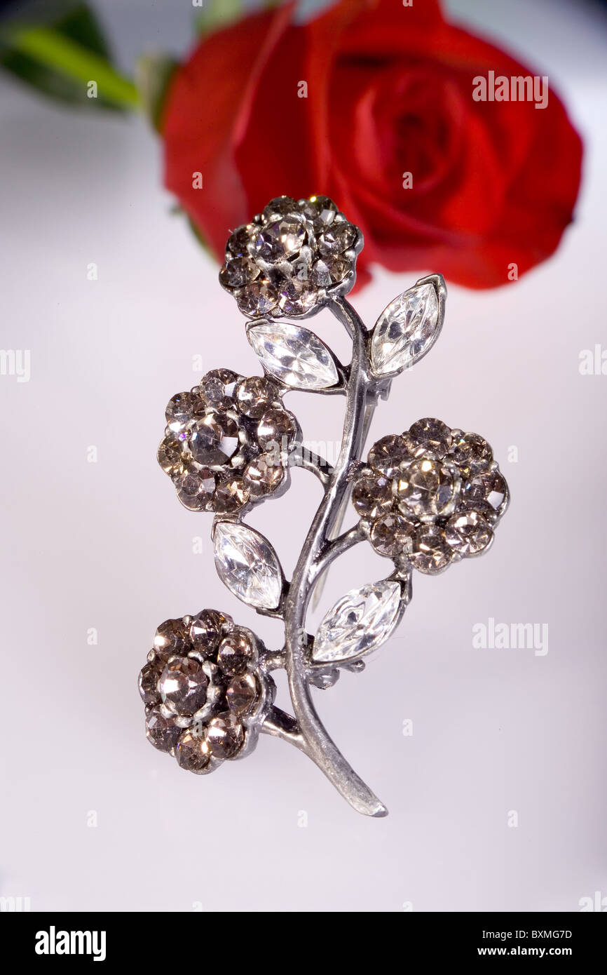 Silber Brosche mit unscharfen Rosen im Hintergrund Stockfoto