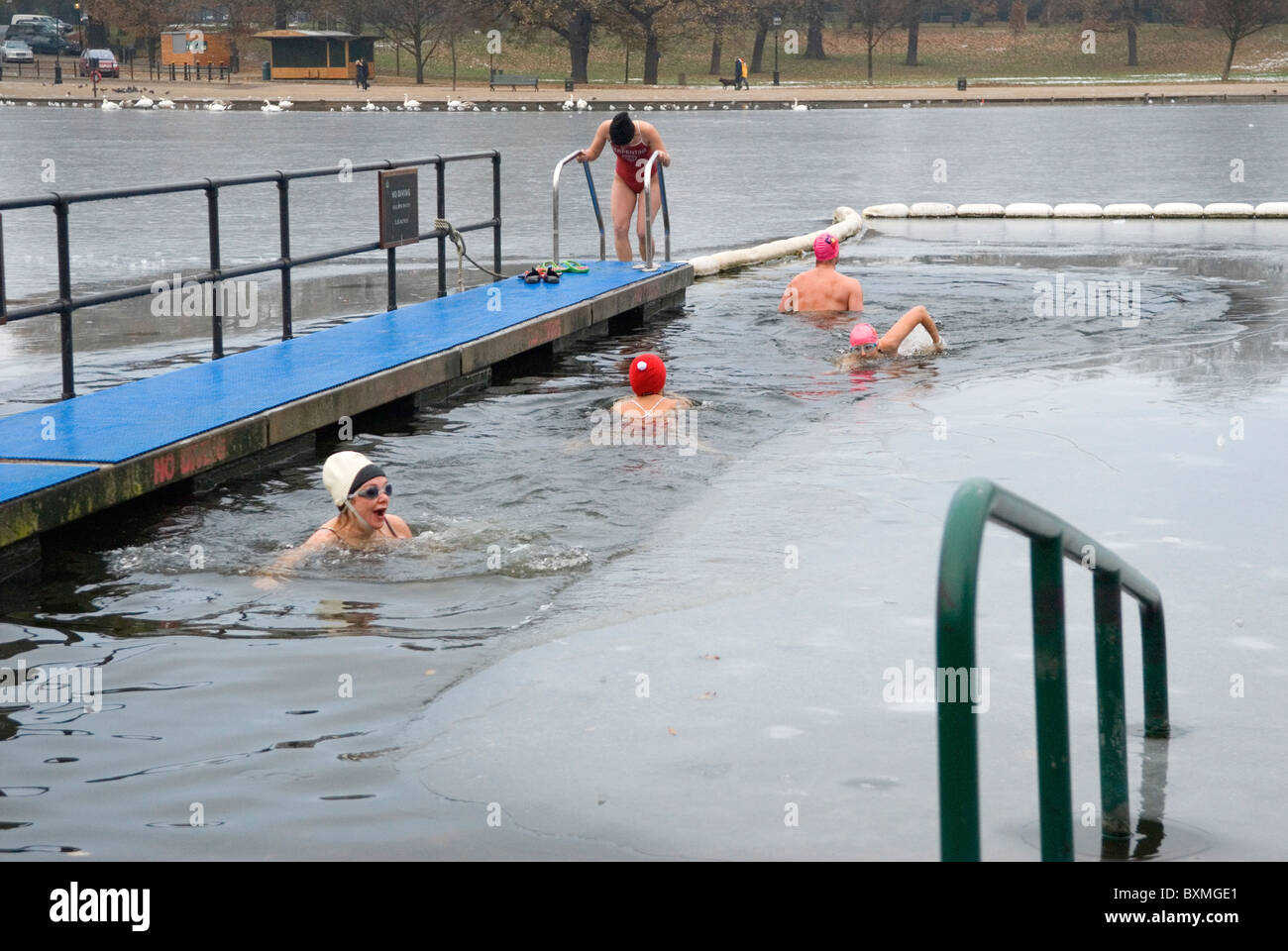 Schwimmen Am Vormittag Am Weihnachtsfeiertag. Serpentine Swimming Club London. Das jährliche 100-Meter-Rennen im Peter Pan Cup wurde aufgrund der ICE UK 2010, 2010S HOMER SYKES abgesagt Stockfoto