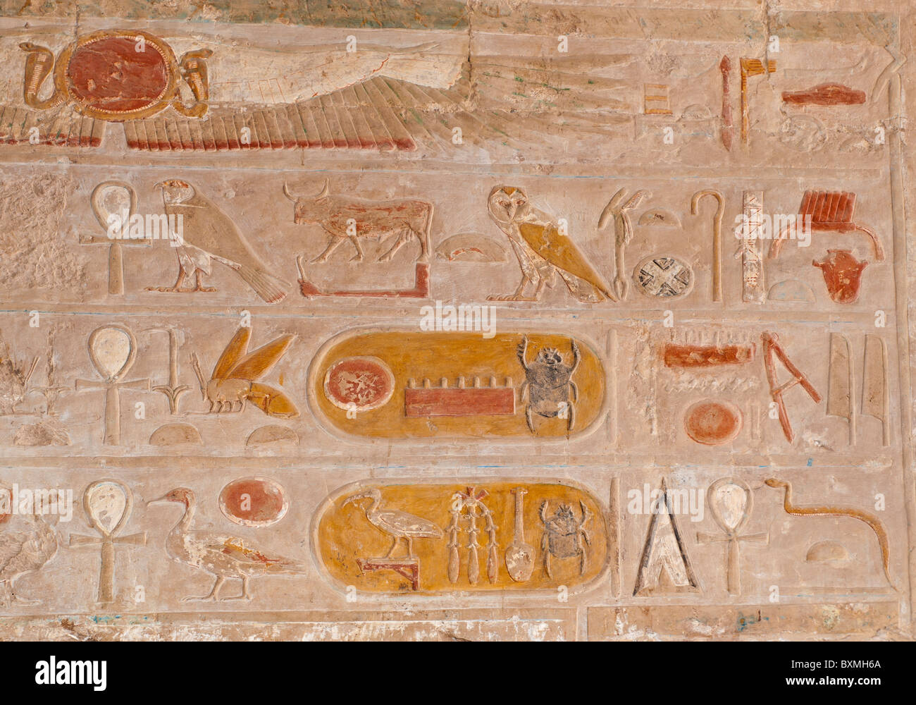 Ägyptische Hieroglyphen Schnitzereien an der Wand im Hatsheput-Tempel in Luxor Stockfoto