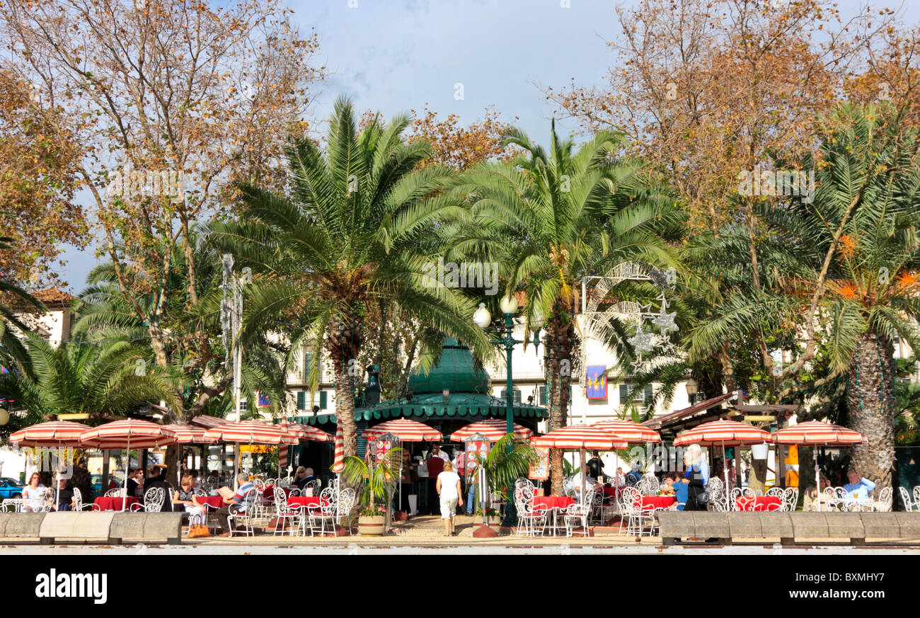 Café unter Palmen an der Strandpromenade von Funchal, Madeira Stockfoto