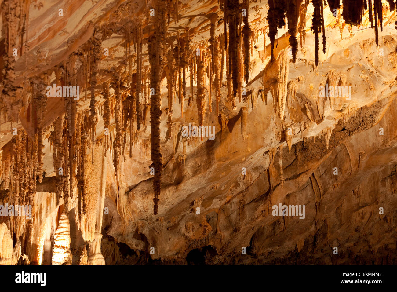 Carlsbad Höhle, Carlsbad Caverns National Park, New Mexico, USA Stockfoto