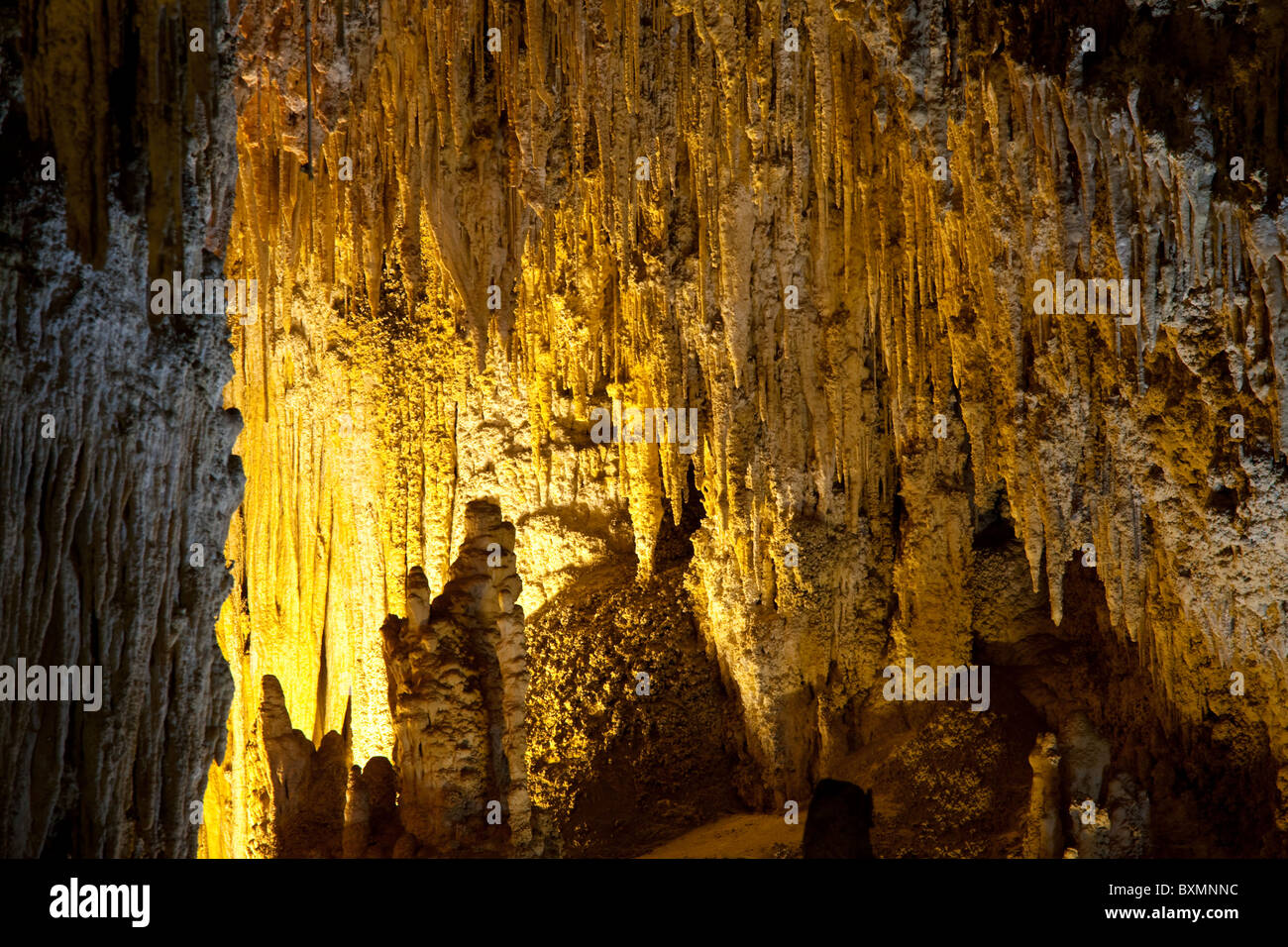 Carlsbad Höhle, Carlsbad Caverns National Park, New Mexico, USA Stockfoto