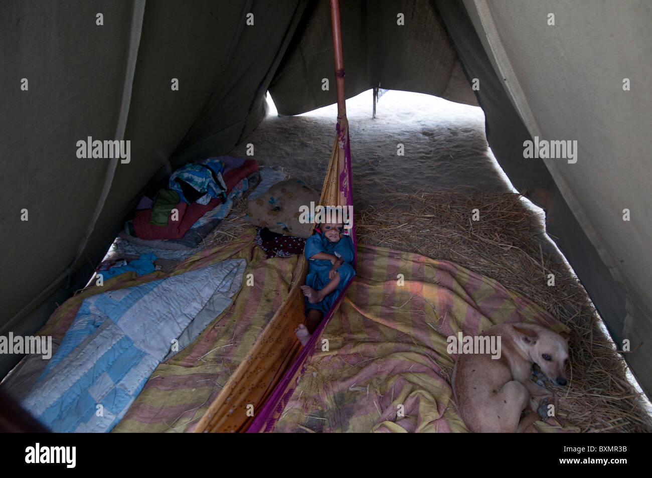 Pakistan nach der Flut. Baby in einer Hängematte in einem Zelt für Menschen, die durch die Flut vertrieben Stockfoto