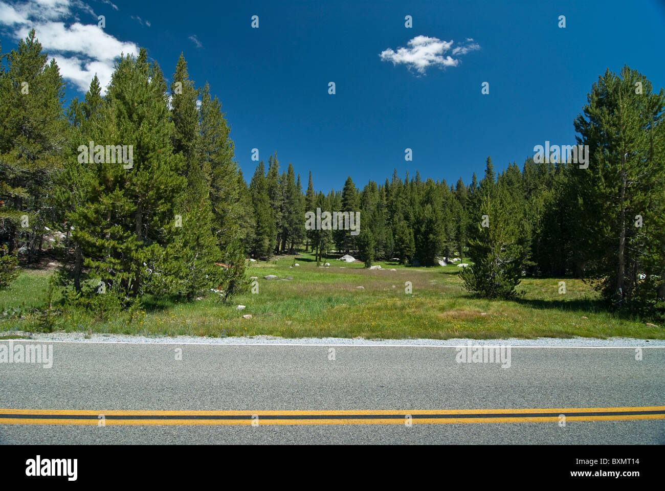 Tioga Road, Yosemite-Nationalpark Stockfoto