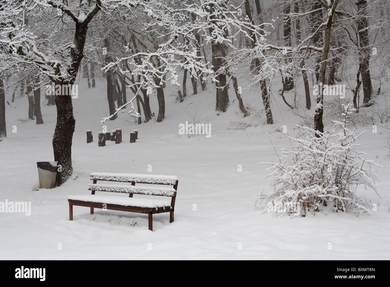 Eine verschneite Szene in Germia Park, einem öffentlichen Bereich außerhalb Prishtina im Kosovo Stockfoto