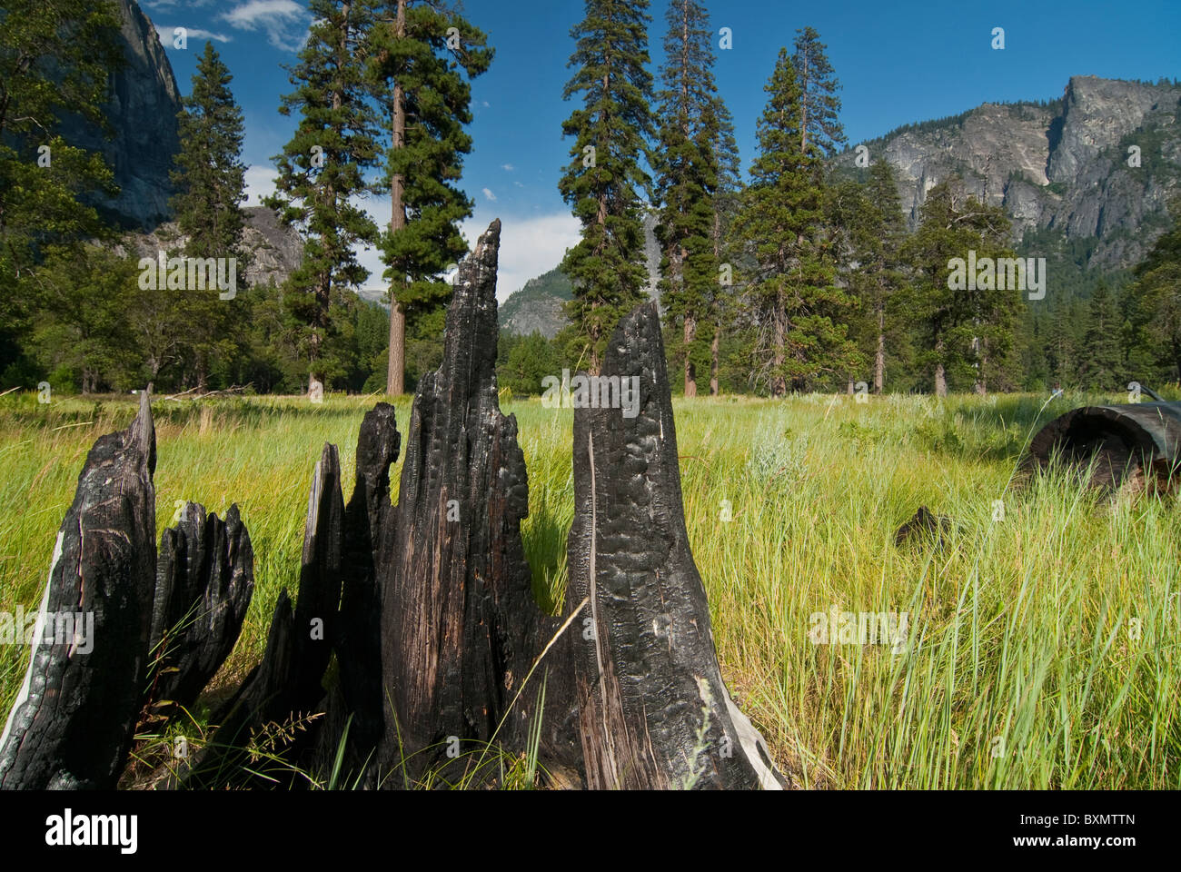 Erstaunliche natürliche Landschaften im Yosemite Valley Stockfoto