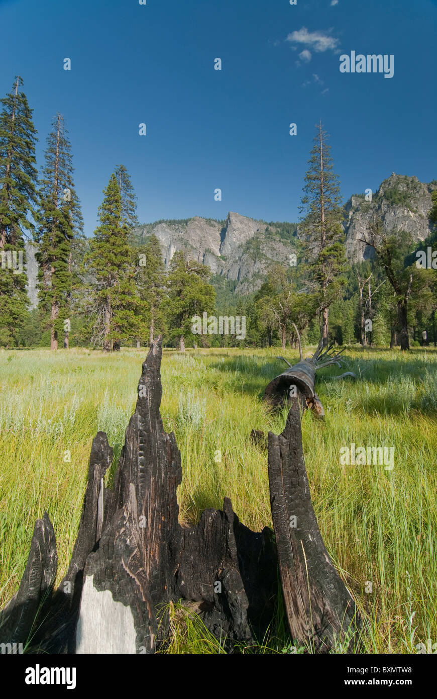 Erstaunliche natürliche Landschaften im Yosemite Valley Stockfoto