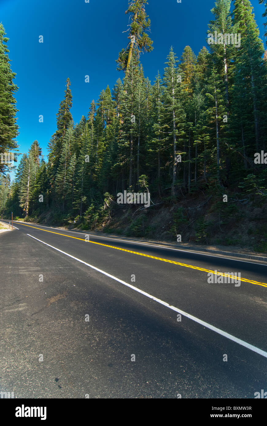 Straße in den Yosemite National Park Stockfoto