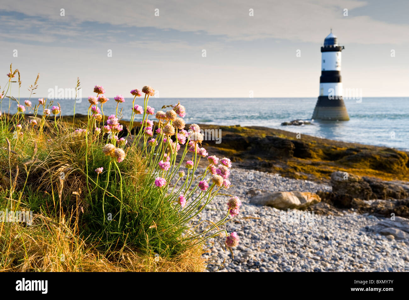 Meer Sparsamkeit & Penmon Point Lighthouse, Anglesey, North Wales, UK Stockfoto