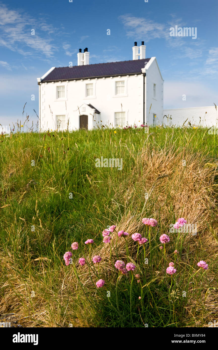 Ehemalige Coastguard Cottages im Penmon Punkt, Anglesey, North Wales, UK Stockfoto