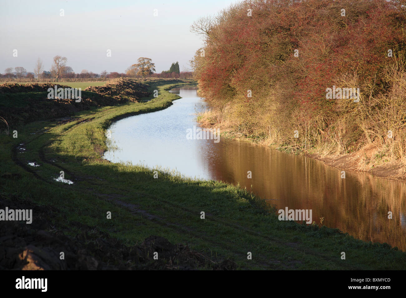 Binnengewässer im Winter mit roten Beeren auf Laub Stockfoto