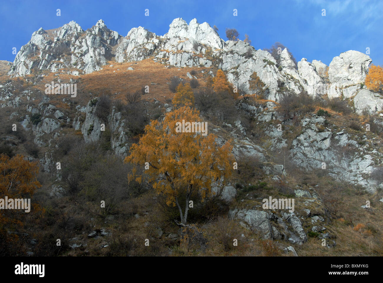 Felsen am Monte Cardada oberhalb Val di Resa, Herbst, n, Tessin, Schweiz Stockfoto