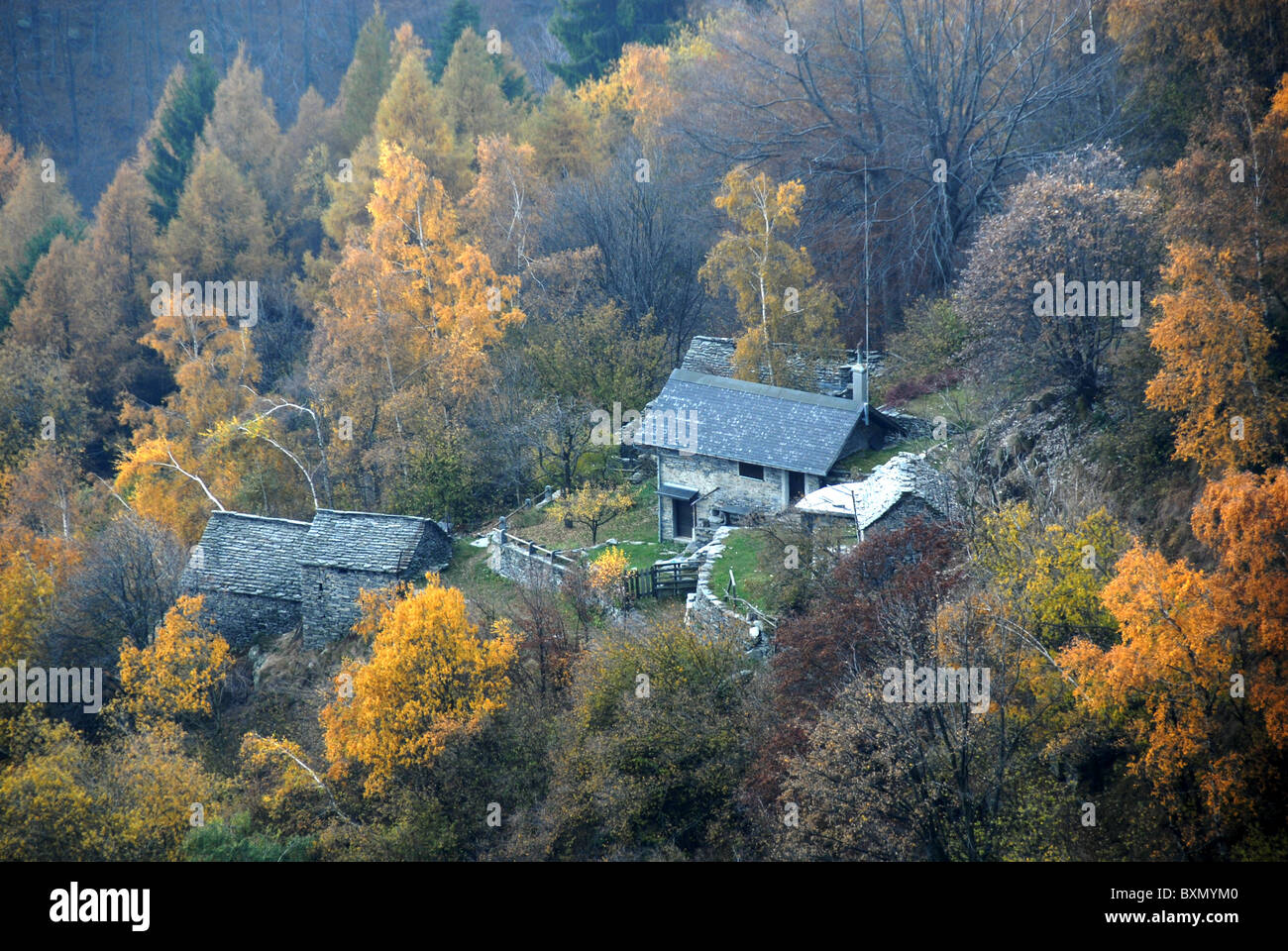 Maiensäss Im Val Resa, Herbst, Monte Cardada, Tessin Stockfoto