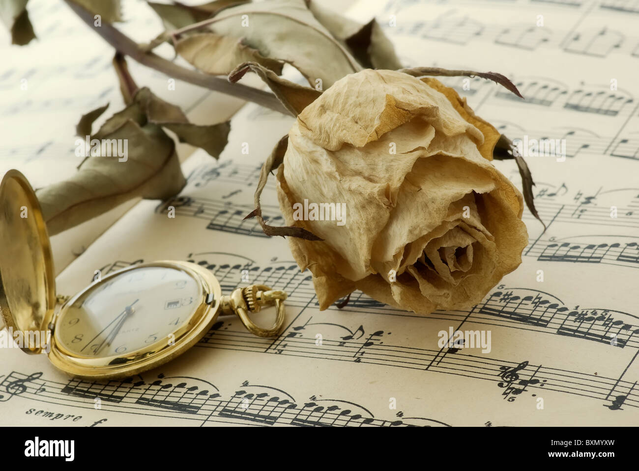 Erinnerungen Stockfoto