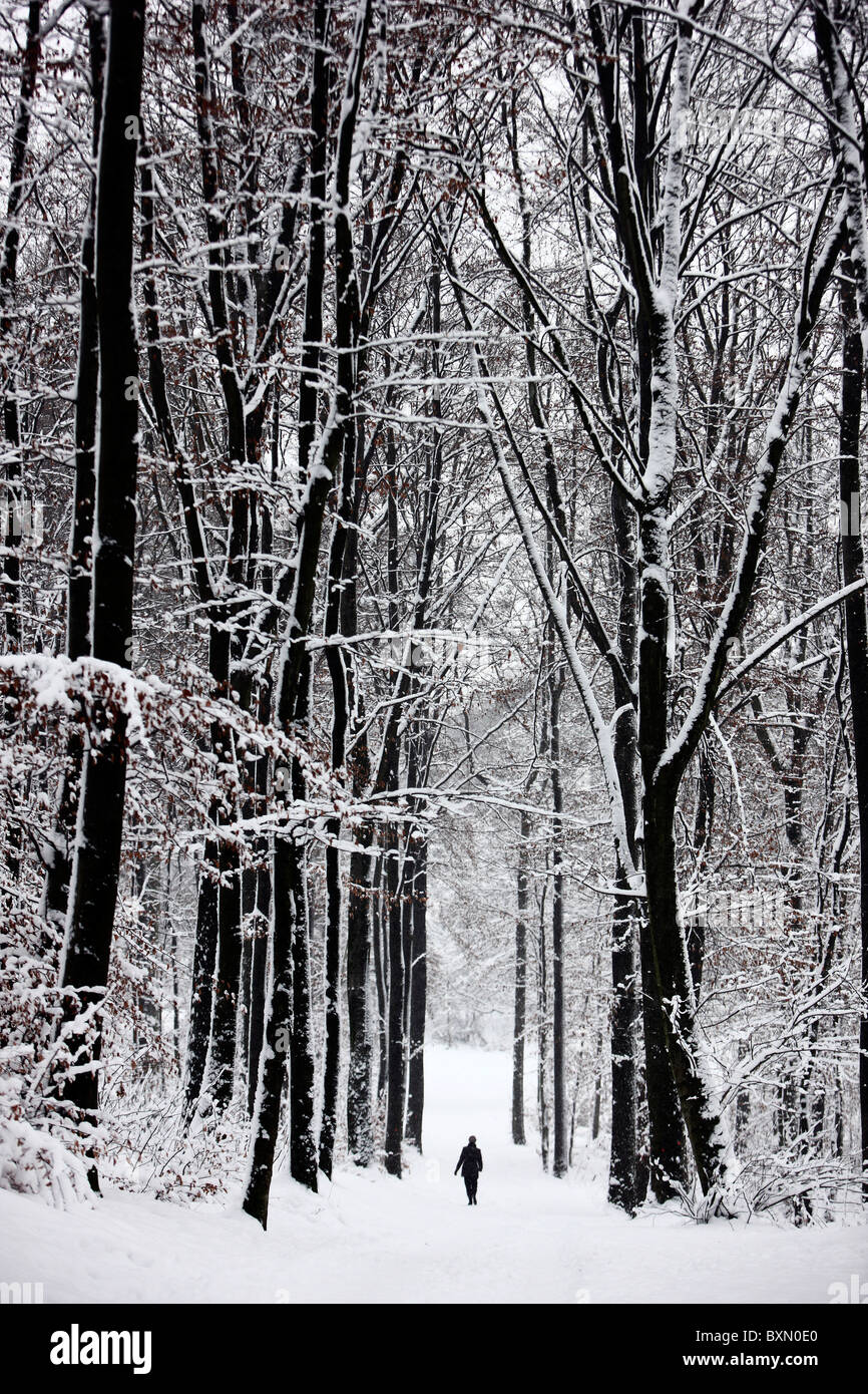 Winter, tief verschneiten Wald. Menschen auf einer Wanderung auf einem schneebedeckten Weg. Stockfoto