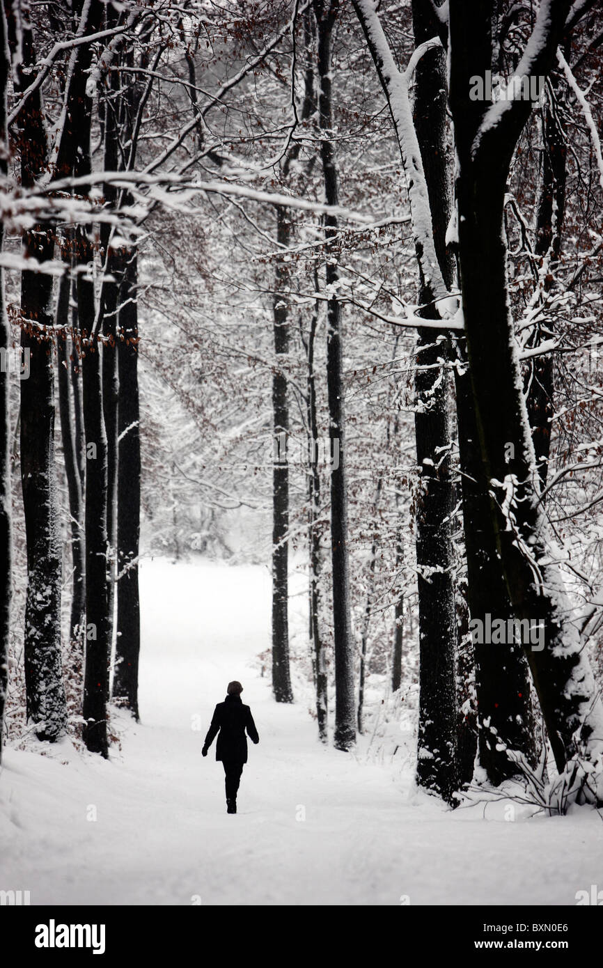 Winter, tief verschneiten Wald. Menschen auf einer Wanderung auf einem schneebedeckten Weg. Stockfoto