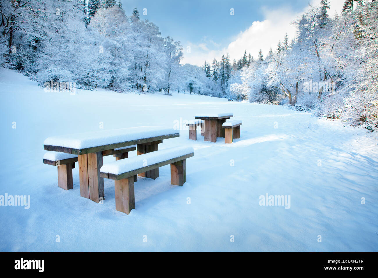 Schneebedeckte Picknick-Tische im freien Raum auf den Quantock Hills von Somerset in den frühen Morgenstunden.  Bei strahlendem Sonnenschein Stockfoto