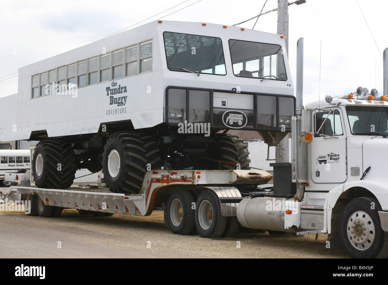 Tundra Buggy in für Reparatur und wird auf einem großen LKW geschleppt. Stockfoto