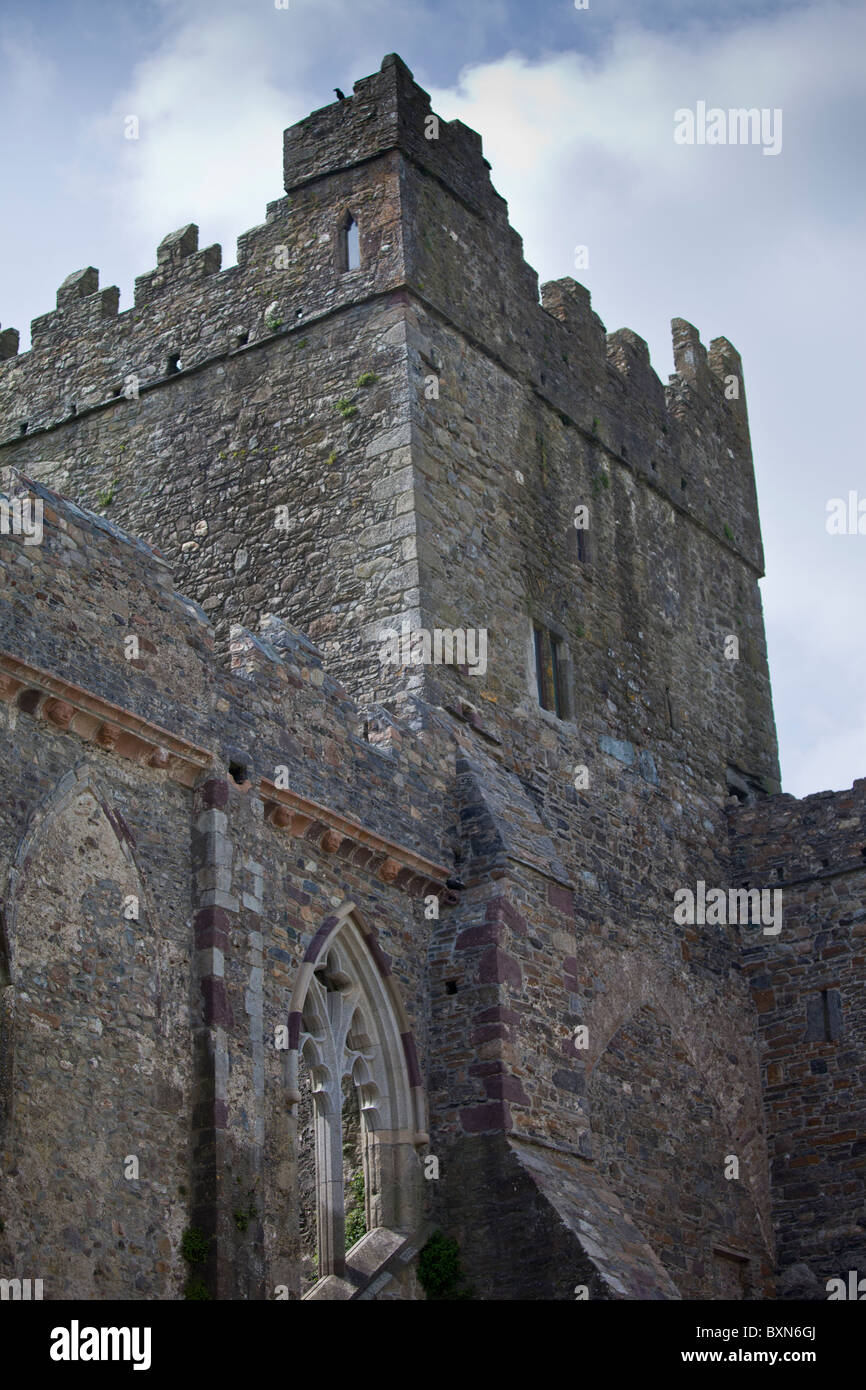 Tintern Abbey des 12. Jahrhunderts, ehemals eine Zisterzienser-Abtei in County Wexford von Earl of Pembroke erbaut 1200, Irland Stockfoto