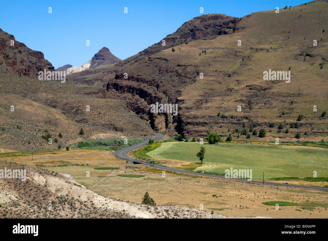 Mit Blick auf Schafe Rock an der John Day Fossil Beds National Monument im östlichen Oregon, USA. Stockfoto